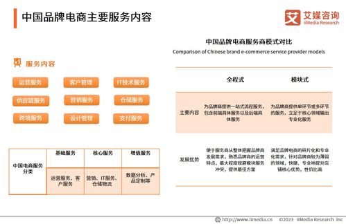2023年中國品牌電商服務商行業研究報告 互聯網信息服務視角